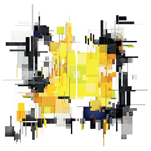 Looking-Glass Self [Vinyl LP] von PIAS