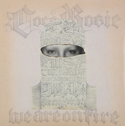 We Are on Fire (7°) [Vinyl LP] von PIAS