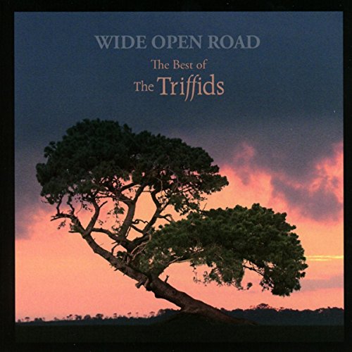 Wide Open Road: The Best Of The Triffids von PIAS