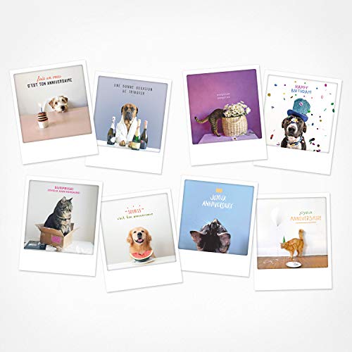 PICKMOTION Geburtstagskarten – Hunde und Katzen, Set mit 8 Fotokarten, Grußkarten – Instagrameur-Fotos, entworfen in Berlin BPK-0212-FR von PICKMOTION