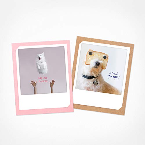 PICKMOTION Hunde | 2er Set Klappkarten | Grußkarten - inkl. Umschlag, Bilder von Instagram Fotografen designed in Berlin - Grußkarten, bunt, BKK-0163-EN PICKMOTION Hunde | 2er Set Klappkarten | Grußkarten - inkl. Umschlag, Bilder von Instagram Fotografen designed in Berlin - Grußkarten, bunt, BKK-0163-EN von PICKMOTION