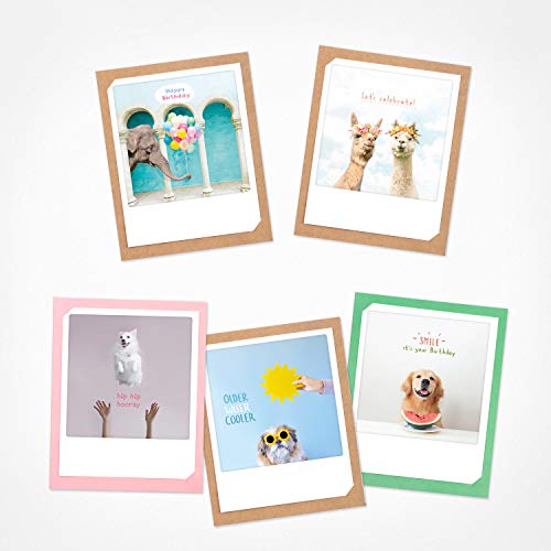 PICKMOTION Let's Celebrate | Set of Folded Cards | 5 gefaltete Karten - inkl. Envelope, Bilder of Instagram Photographers, designed in Berlin von PICKMOTION