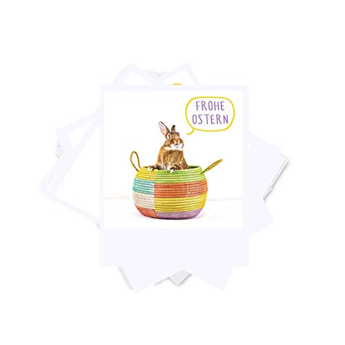 PICKMOTION Set OSTERHASE mit 8 Foto-Postkarten mit gleichem Motiv Ostern, Grüße & Wünsche, Instagram-Fotografen-Frohe Ostern-Karten, besondere Grußkarten, schönes Motiv zu Ostern, BPK-0179, bunt von PICKMOTION