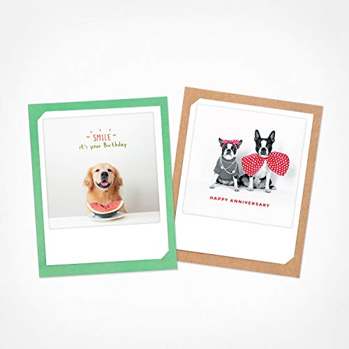 PICKMOTION Smile! | 2er Set Doppelkarten | Grußkarten - inkl. Umschlag, Bilder von Instagram-Fotografen, designed in Berlin - Geburtstagskarten, bunt PICKMOTION Smile! | 2er Set Doppelkarten | Grußkarten - inkl. Umschlag, Bilder von Instagram-Fotografen, designed in Berlin - Geburtstagskarten, bunt von PICKMOTION