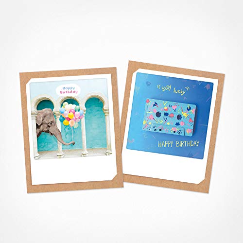 PICKMOTION Stay Funky | 2er Set Klappkarten | Grußkarten - inkl. Umschlag, Bilder von Instagram Fotografen designed in Berlin - Geburtstagskarten bunt BKK-0166-EN PICKMOTION Stay Funky | 2er Set Klappkarten | Grußkarten - inkl. Umschlag, Bilder von Instagram Fotografen designed in Berlin - Geburtstagskarten bunt BKK-0166-EN von PICKMOTION