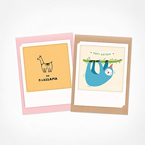 PICKMOTION Tiere 3 | 2er Set kleine Klappkarten | Grußkarten - inkl. Umschlag, Bilder von Instagram Fotografen mit handgefertigten Illustrationen, designed in Berlin - Geburtstagskarten, bunt PICKMOTION Tiere 3 | 2er Set kleine Klappkarten | Grußkarten - inkl. Umschlag, Bilder von Instagram Fotografen mit handgefertigten Illustrationen, designed in Berlin - Geburtstagskarten, bunt von PICKMOTION