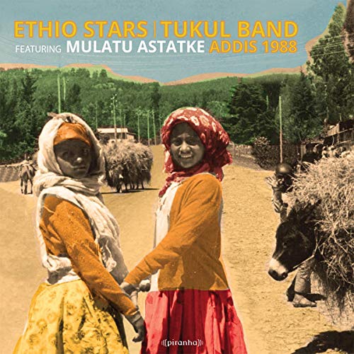 Addis 1988 [Vinyl LP] von Republic of Music