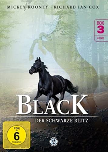 Black - Der schwarze Blitz - Box 3 [4 DVDs] von Koch Media