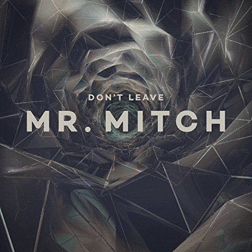 Don'T Leave [Vinyl Maxi-Single] von PLANET MU RECORD