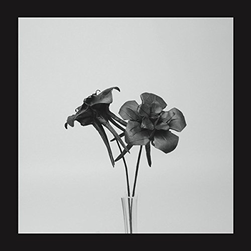 Dark Lotus [Vinyl Maxi-Single] von PLANET MU