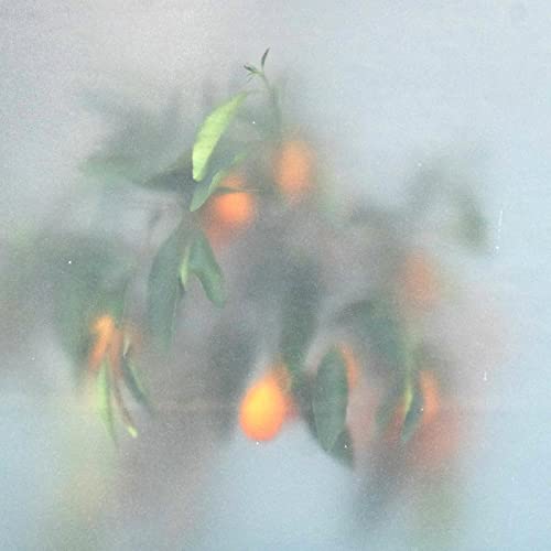 Secret Garden (Green Vinyl) [Vinyl LP] von PLANET MU