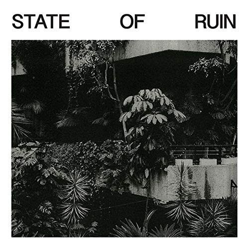 State of Ruin [Vinyl LP] von PLANET MU