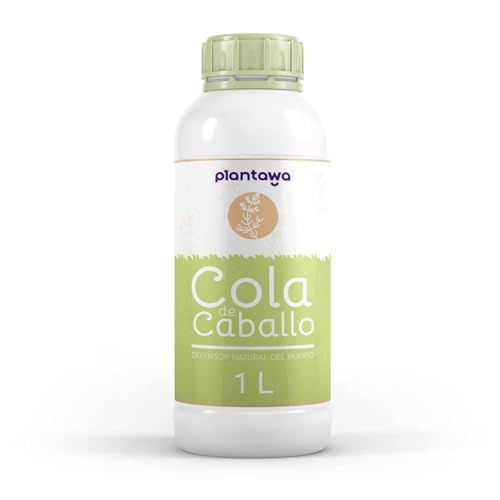 PLANTAWA Schachtelhalm 1L | Bekämpfung Von Botrytis, Falschem Mehltau, Echtem Mehltau, Echtem Mehltau, Spinnmilben, Phytopthora Sp, Alternaria. Ungiftig Und Vielseitig Einsetzbar PLANTAWA Schachtelhalm 1L | Bekämpfung Von Botrytis, Falschem Mehltau, Echtem Mehltau, Echtem Mehltau, Spinnmilben, Phytopthora Sp, Alternaria. Ungiftig Und Vielseitig Einsetzbar von PLANTAWA