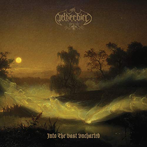 Into the Vast Uncharted (180 Gr.Deluxe Black Lp) [Vinyl LP] von Soulfood Import (Soulfood)