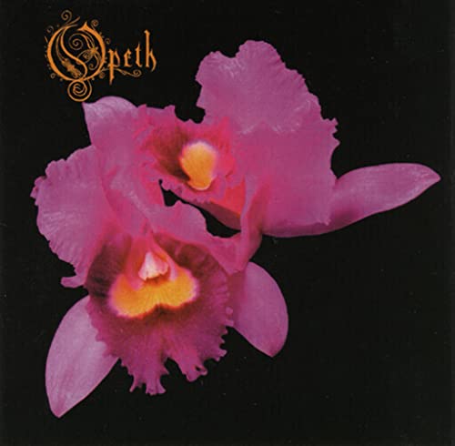 Orchid [Vinyl LP] von PLASTIC HEAD