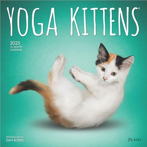 YOGA KITTENS 2025 16 MONTH CALENDAR von PLATO