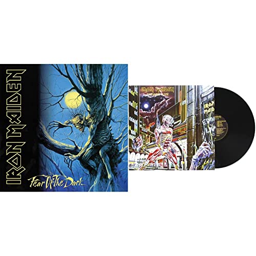 Fear of the Dark (2015 Remastered Version) [Vinyl LP] & Somewhere in Time [Vinyl LP] von PLG UK CATALOG