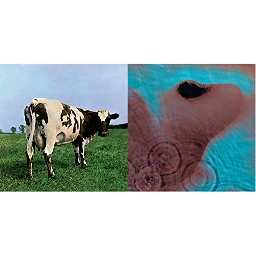 Meddle (2016 Edition) [Vinyl LP] & Atom Heart Mother (2016 Edition) [Vinyl LP] von PLG UK CATALOG