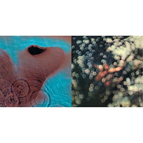 Meddle (2016 Edition) [Vinyl LP] & Obscured By Clouds (2016 Edition) [Vinyl LP] von PLG UK CATALOG