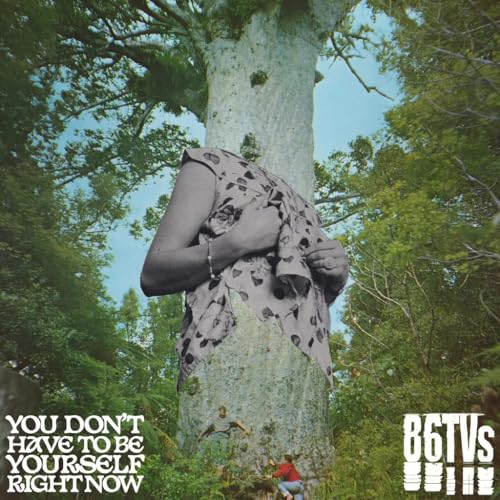 You Don’t Have To Be Yourself Right Now [VINYL] [Vinyl LP] von PLG UK Frontline