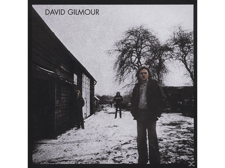 David Gilmour - (CD) von PLG UK