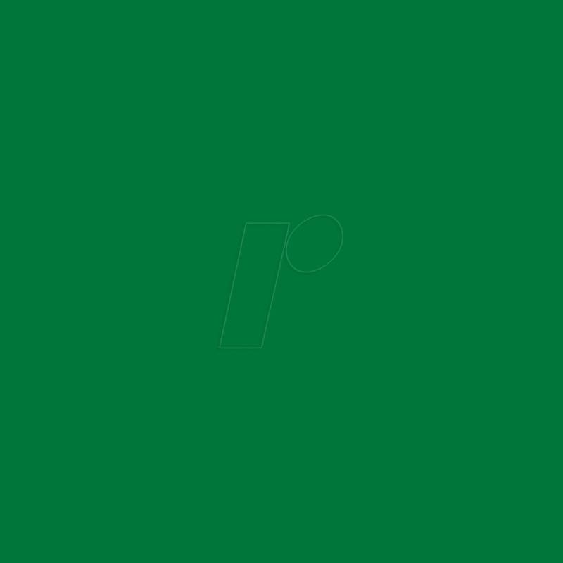 PL0101316 - Aufbügelfolie, PremiumFlex, 320 mm x 500 mm, grün von PLOTTIX