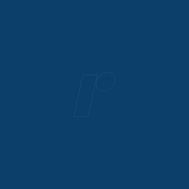 PL0502019 - Vinylfolie, Permanent, 315 mm x 1 m, dunkelblau von PLOTTIX