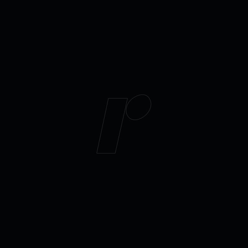 PL0502024 - Vinylfolie, Permanent, 315 mm x 1 m, schwarz von PLOTTIX