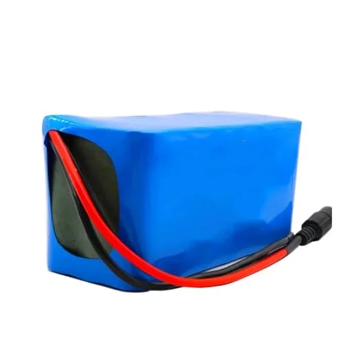 E-Bike Lithium-Ionen-Akkupack 7s3p 24V Li-Ionen-Akku 29,4V 5000mAH E-Bike, Moped/Elektro/Li-Ionen-Akkupack mit Ladegerät von PLSZLL