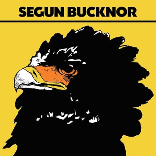 Segun Bucknor Segun Bucknor von PMG