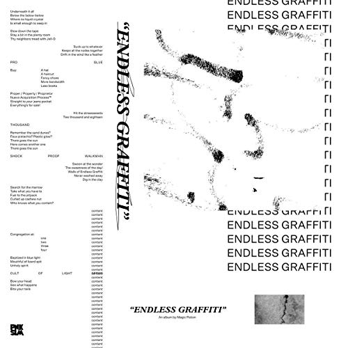 Endless Graffiti [Vinyl LP] von PNKSLM RECORDINGS