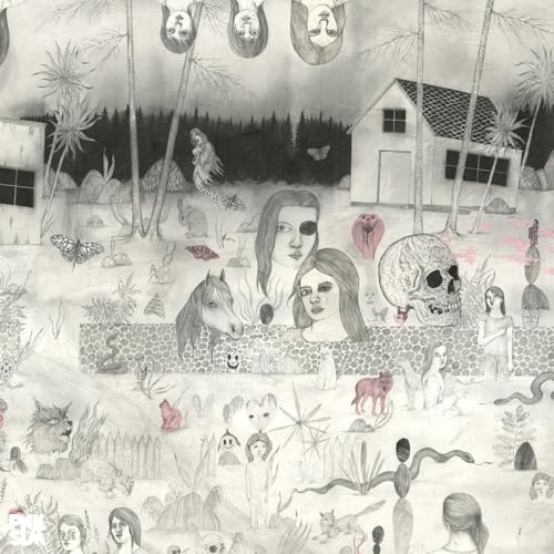 Swedish Cobra [Vinyl LP] von PNKSLM RECORDINGS