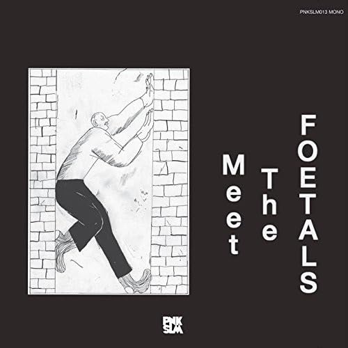 Meet the Foetals [Vinyl LP] von PNKSLM Recordings