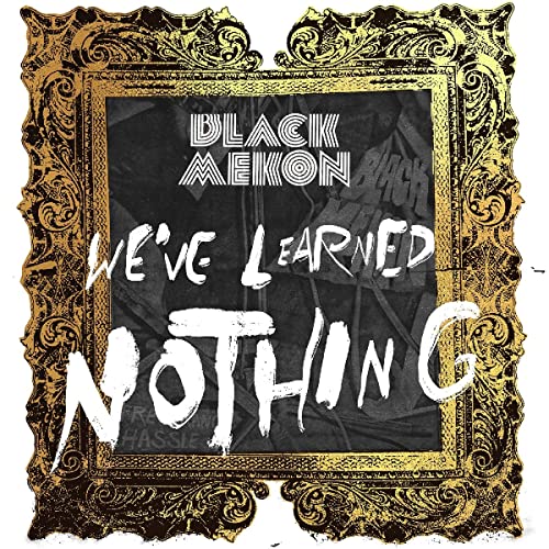 We'Ve Learned Nothing [Vinyl LP] von PNKSLM Recordings