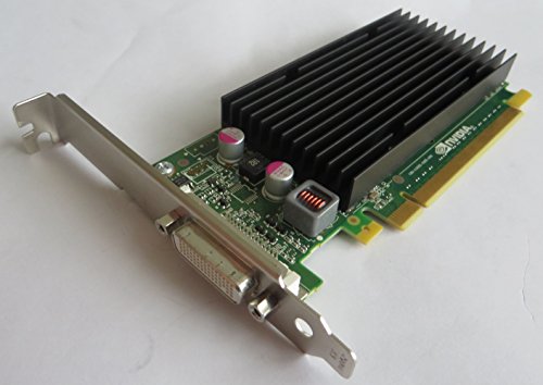PNY VCNVS300 X 16-pb/Quadro 300 Grafikkarte – 512 MB DDR3 SDRAM, PCI Express 2.0 x16 von PNY