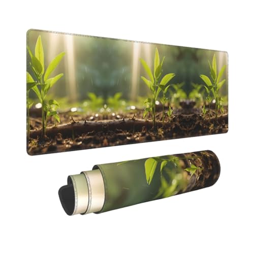 Poezjzw Gaming-Mauspad mit Spargel-Muster, großes erweitertes Mauspad, großer Computer für Zuhause, Büro, Gaming, Arbeit, 80 x 30 cm Poezjzw Gaming-Mauspad mit Spargel-Muster, großes erweitertes Mauspad, großer Computer für Zuhause, Büro, Gaming, Arbeit, 80 x 30 cm von POEZJZW