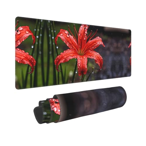 Poezjzw Red Lilies in Bloom langes Gaming-Mauspad, große Schreibtischunterlage, Tastaturunterlage mit genähten Kanten, für Gaming und Büro, 31,5 x 30 cm Poezjzw Red Lilies in Bloom langes Gaming-Mauspad, große Schreibtischunterlage, Tastaturunterlage mit genähten Kanten, für Gaming und Büro, 31,5 x 30 cm von POEZJZW