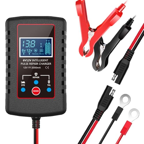 POFET Autobatterieladegerät 6V 12V Intelligentes Motorradbatterieladegerät für Auto-LKW-Motorrad-Rasenmäherboot-Marinebatterien von POFET