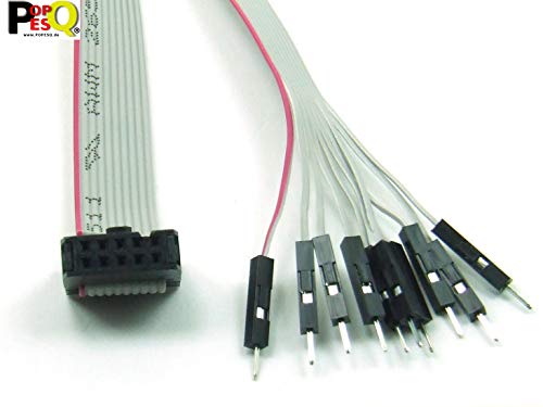 POPESQ® 1 Stk. x IDC Kabel - DUPONT Mänlich 10 polig 30cm Flachbandkabel 2.54mm Verbinder #A2562 von POPESQ