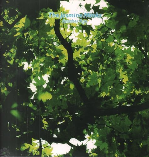 Another Age [Vinyl LP] von POPPYDISC
