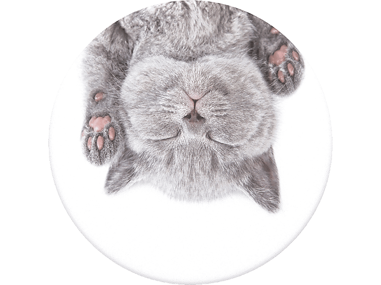 POPSOCKETS PopGrip Cat Nap Handyhalterung, Mehrfarbig von POPSOCKETS