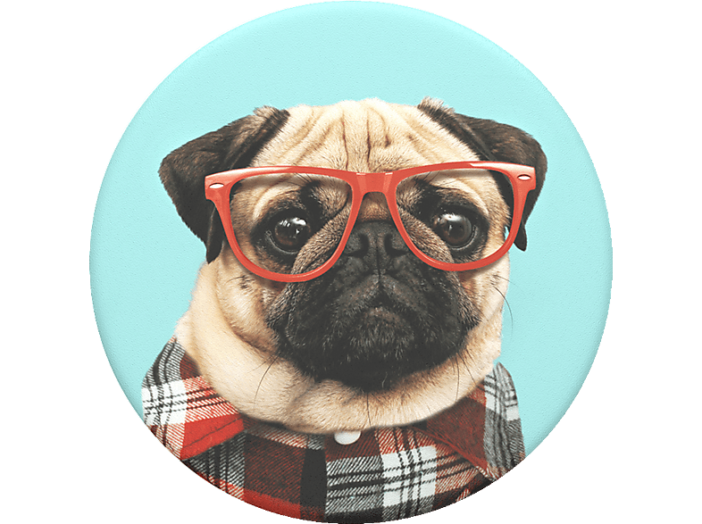POPSOCKETS PopGrip Studious Stu Handyhalterung, Mehrfarbig POPSOCKETS PopGrip Studious Stu Handyhalterung, Mehrfarbig von POPSOCKETS