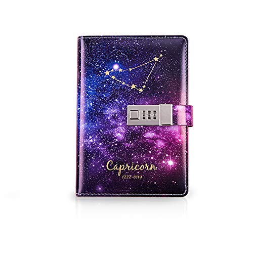 PORRASSO B6 Passwort Tagebücher Set PU Notizbuch Mädchen Glasstift Stifthalter Konstellation Diary Book Frauen Blanko Seiten 224 Seiten Steinbock von PORRASSO