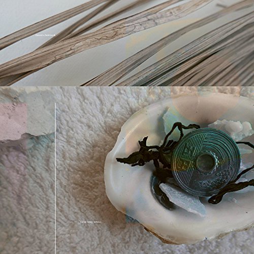 Great Many Arrows [Vinyl LP] von POSH ISOLATION
