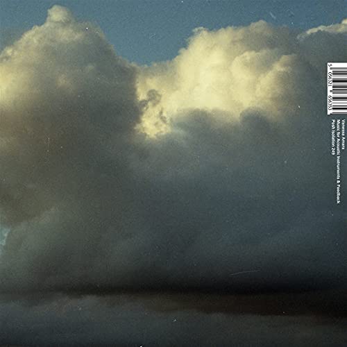 Music for Acoustic Instruments & Feedback [Vinyl LP] von POSH ISOLATION