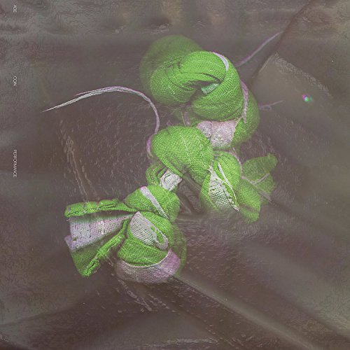 Performance [Vinyl LP] von Posh Isolation