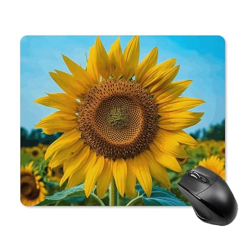 Beutiful Sonnenblumen-Mauspad, quadratisch, Gaming-Mauspad, ultradünn, glatte Oberfläche und rutschfeste Gummiunterseite, wasserdicht, bequem, Mauspad für Computer, Laptop, 18 x 22 cm Beutiful Sonnenblumen-Mauspad, quadratisch, Gaming-Mauspad, ultradünn, glatte Oberfläche und rutschfeste Gummiunterseite, wasserdicht, bequem, Mauspad für Computer, Laptop, 18 x 22 cm von POTSCBVW