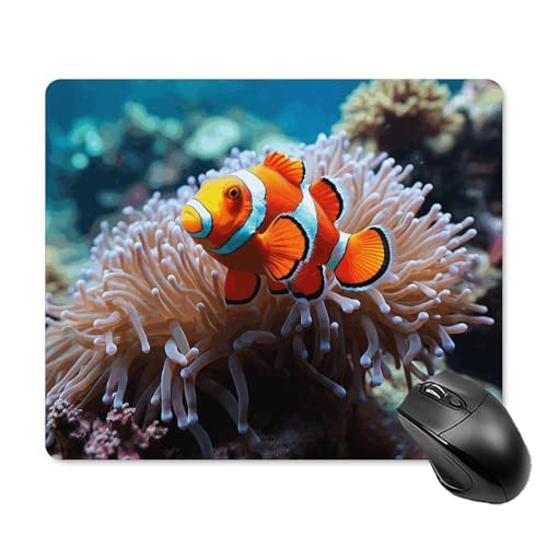 Clownfisch-Mauspad, quadratisch, Gaming-Mauspad, ultradünn, glatte Oberfläche und rutschfeste Gummiunterseite, wasserdicht, bequem, Mauspad für Computer, Laptop, 18 x 22 cm Clownfisch-Mauspad, quadratisch, Gaming-Mauspad, ultradünn, glatte Oberfläche und rutschfeste Gummiunterseite, wasserdicht, bequem, Mauspad für Computer, Laptop, 18 x 22 cm von POTSCBVW