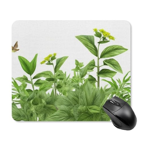 Mauspad mit Kräuterblättern, quadratisch, Gaming-Mauspad, ultradünn, glatte Oberfläche und rutschfeste Gummiunterseite, wasserdicht, bequem, Mauspad für Computer, Laptop, 25 x 30 cm Mauspad mit Kräuterblättern, quadratisch, Gaming-Mauspad, ultradünn, glatte Oberfläche und rutschfeste Gummiunterseite, wasserdicht, bequem, Mauspad für Computer, Laptop, 25 x 30 cm von POTSCBVW