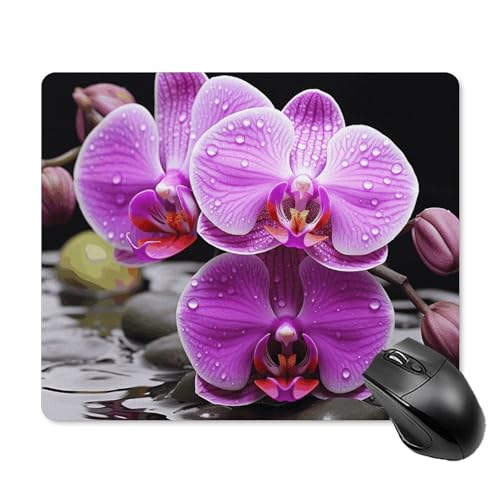Purple Orchid Mauspad, quadratisch, Gaming-Mauspad, ultradünn, glatte Oberfläche und rutschfeste Gummiunterseite, wasserdicht, bequem, Mauspad für Computer, Laptop, 18 x 22 cm Purple Orchid Mauspad, quadratisch, Gaming-Mauspad, ultradünn, glatte Oberfläche und rutschfeste Gummiunterseite, wasserdicht, bequem, Mauspad für Computer, Laptop, 18 x 22 cm von POTSCBVW